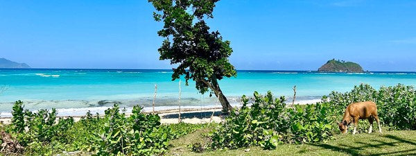 Lombok