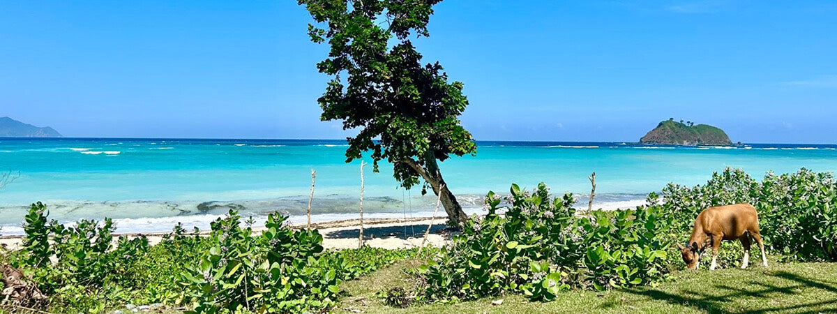 Map Lombok