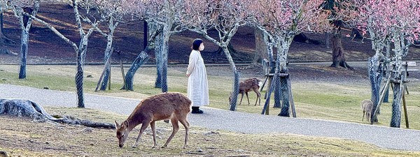 Nara