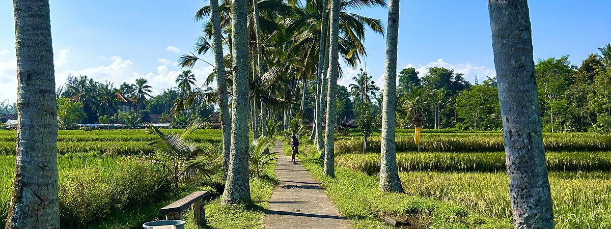 Map Ubud